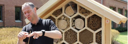 Cornelis Hemmer erklärt die Nistweisen einiger Wildbienen