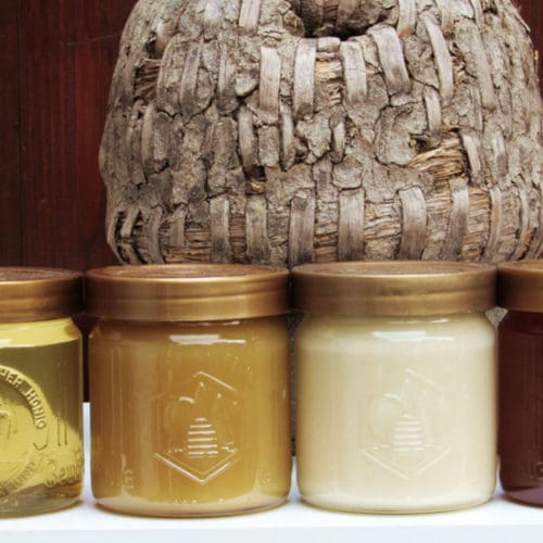 Monatshinweise Oktober Honigqualität sichern
