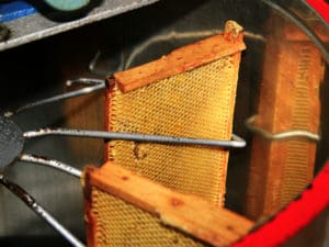 Bienenwaben: so viel honig produziert deutschland