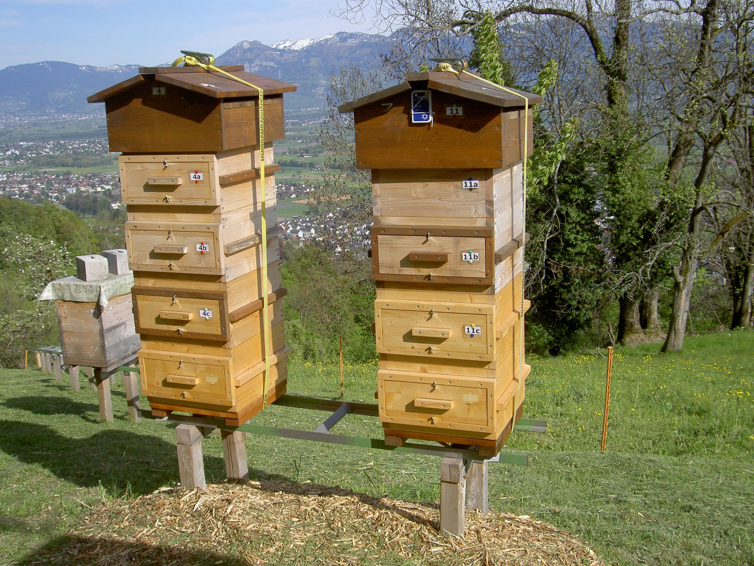 Imkern mit dem Warré-Bienenstock | Deutsches Bienen-Journal