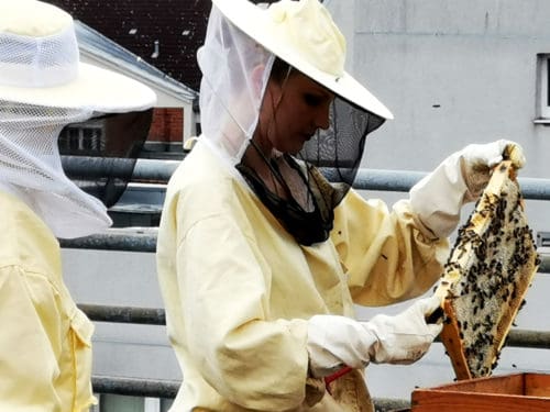 honig ernten teil eins erste honigernte 2019