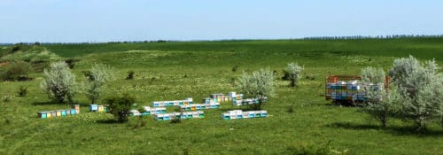 Bienenstöcke in Rumänien