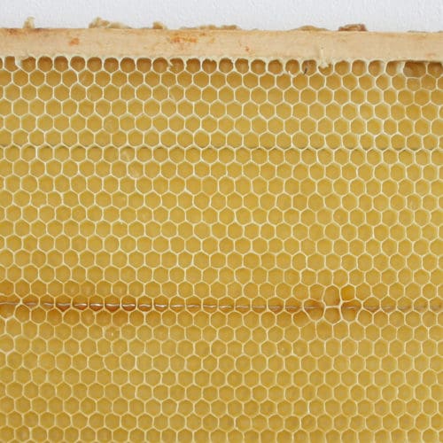 Ausgeschleuderte Honigwabe