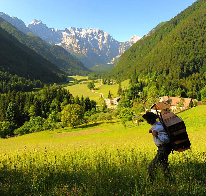 Mann wandert durch Natur in Slowenien