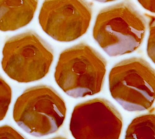 Wie viel sollte Honig kosten?
