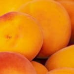 Rezept: Aprikosenkuchen mit frischen Aprikosen