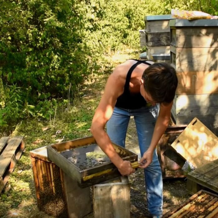 Pias Imkerwelt im Juli: Video Teilen und Behandeln