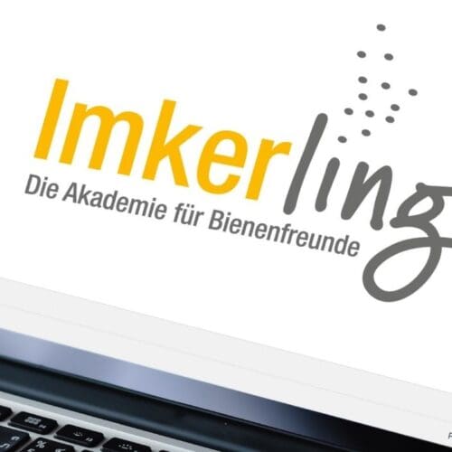 Imkerling E-Learning Foto: verändert nach Thaspol/stock.adobe.com