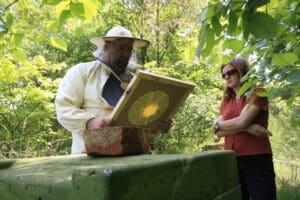 Zwischenboden der Bienenflucht mit Einsatz. Foto: Sabine Rübensaat