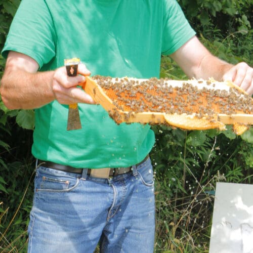 Honigfeuchte - Spritzprobe - Wassergehalt im Honig2 Foto: Sabine Rübensaat