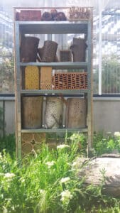 Bienenhotel bauen