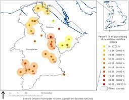 Beispiel: Hybridisierung von Apis mellifera mellifera mit anderen Unterarten in Nord-Wales 