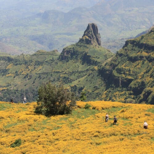 Imkern in Äthiopien - Foto: Silke Beckedorf
