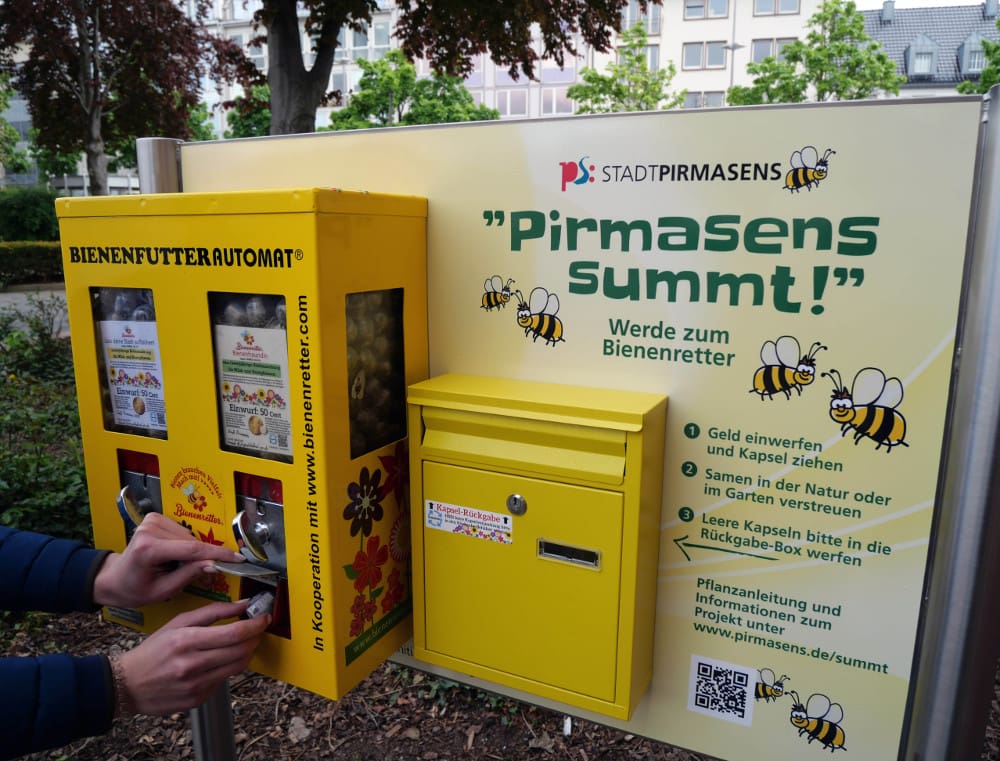 Bienenfutter-Automat