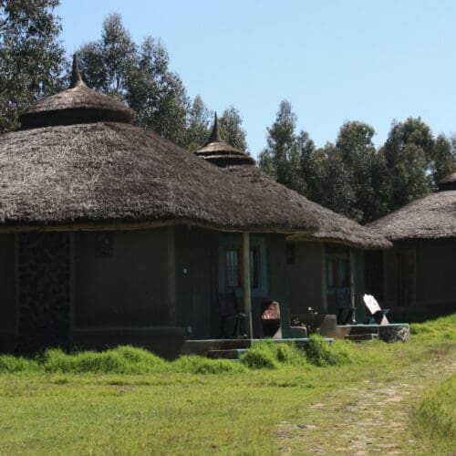 Imker für Imker in Äthiopien