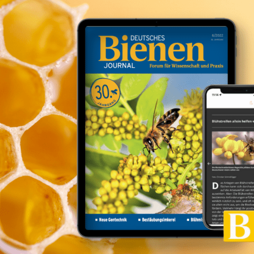 E-Paper Bienen-Journal