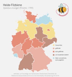 Verbreitung der Heide-Filzbiene.