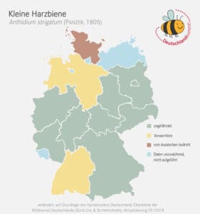 So verbreitet ist die Kleine Harzbiene in Deutschland.