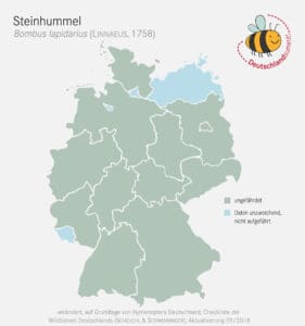 Verbreitung der Steinhummel