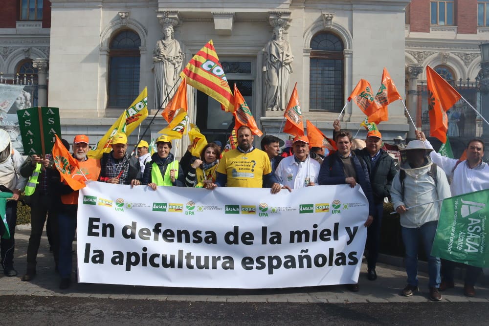 Imker protestieren in Spanien.