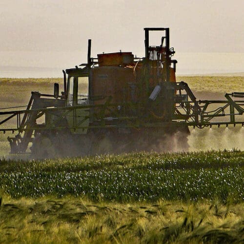 Glyphosat hat schädigt Insekten - Traktor bringt Herbizid auf den Acker
