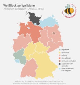 Verbreitungskarte der Weißfleckigen Wollbiene