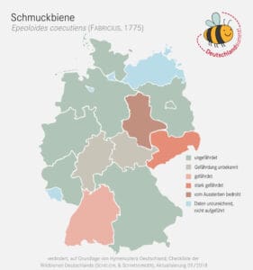So verbreitet ist die Schmuckbiene in Deutschland