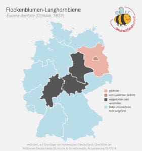 So verbreitet ist die Flockenblumen-Langhornbiene in Deutschland