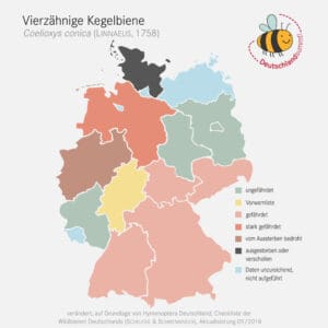 Verbreitung der Vierzähnigen Kegelbiene in Deutschland.