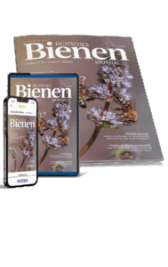DBJ Ausgabe 6/2025